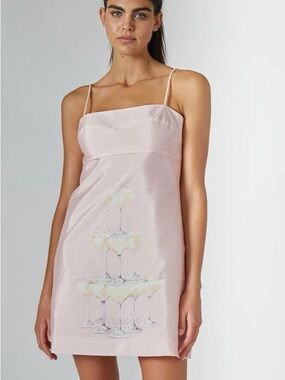 Rachel Antonoff Pale Pink Gwen Champagne Glass Mini Dress Anthropologie